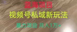 蓝海项目,视频号私域新玩法,暴力项目月入1万+【揭秘】-知一资源网