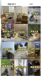 拆解抖音盘点类中视频变现副业项目，视频版一条龙大解析分享给你【视频课程】-知一资源网