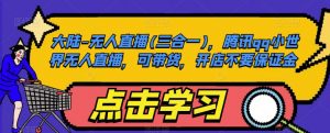大陆-无人直播(三合一),腾讯qq小世界无人直播,可带货,开店不要保证金-知一资源网