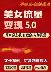 TK美女短视频变现项目无限复制（升级版），全网最高性价比项目【揭秘】-知一资源网