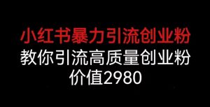 小红书暴力引流创业粉,教你引流高质量创业粉,价值2980【揭秘】-知一资源网