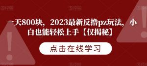 一天800块,2023最新反撸pz玩法,小白也能轻松上手【仅揭秘】-知一资源网