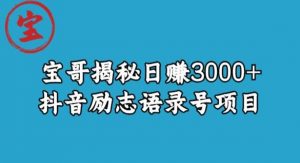 宝哥揭秘日赚3000+抖音励志语录号短视频变现项目-知一资源网