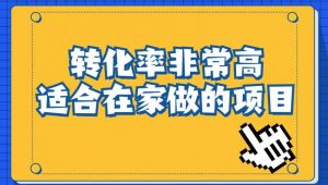 小红书虚拟电商项目：从小白到精英（视频课程+交付手册）-知一资源网