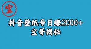 宝哥抖音壁纸号日赚2000+,不需要真人露脸就能操作【揭秘】-知一资源网