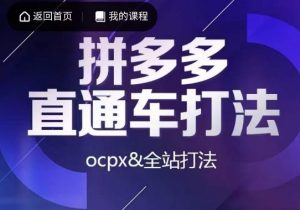 互力·拼多多直通车打法,ocpx&全站打法-知一资源网