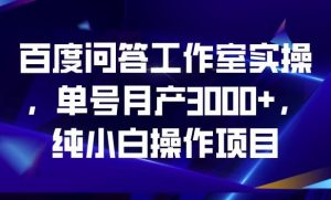 百度问答工作室实操,单号月产3000+,纯小白操作项目【揭秘】-知一资源网