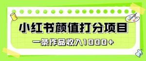 最新蓝海项目,小红书颜值打分项目,一条作品收入1000+【揭秘】-知一资源网