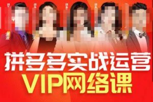 推易拼多多VIP全套直播课程,拼多多店铺实操玩法+实战玩法选款内功+直通车高阶等-知一资源网