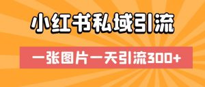 小红书私域引流,一张图片一天引流300+【揭秘】-知一资源网