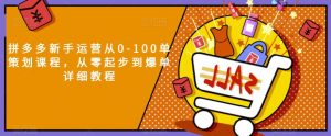 拼多多新手运营从0-100单策划课程,从零起步到爆单详细教程-知一资源网