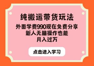 纯搬运带货玩法,外面学费990现在免费分享,新人无脑操作也能月入过万【揭秘】-知一资源网