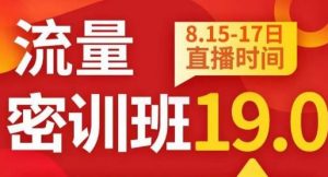 秋秋线上流量密训班19.0,打通流量关卡,线上也能实战流量破局-知一资源网