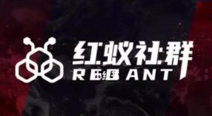 社群运营:红蚁社群【48节落地系统课程+2000人高端社群】-知一资源网