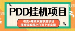 拼多多挂机项目引流+赚钱双重收益项目(保姆级教程小白可上手实操)【揭秘】-知一资源网