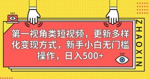 第一视角类短视频,更新多样化变现方式,新手小白无门槛操作,日入500+【揭秘】-知一资源网