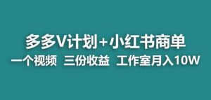 【蓝海项目】多多v计划+小红书商单一个视频三份收益工作室月入10w-知一资源网