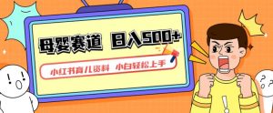 小红书育儿资料,一部手机可操作,多种变现方式,日入500+,私域变现,长期可持续项目【揭秘】-知一资源网