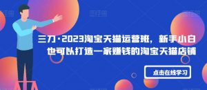 三刀·2023淘宝天猫运营班,新手小白也可以打造一家赚钱的淘宝天猫店铺-知一资源网