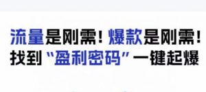 电商盈利精品课:6大盈利密码让产品更好卖,流量是刚需!爆款是刚需!找到”盈利密码”一键起爆-知一资源网