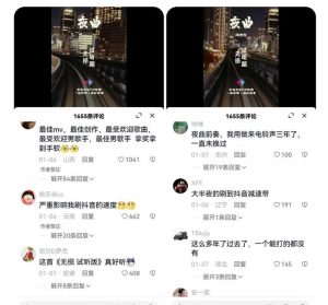 副业拆解:抖音杰伦音乐号涨粉变现项目,视频版一条龙实操玩法分享给你-知一资源网
