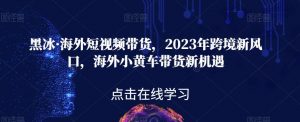 黑冰·海外短视频带货,2023年跨境新风口,海外小黄车带货新机遇-知一资源网
