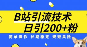 B站引流技术:每天引流200精准粉,简单操作,长期稳定,规避风险-知一资源网