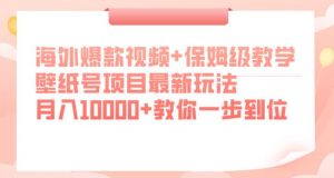 海外爆款视频+保姆级教学，壁纸号项目最新玩法，月入10000+教你一步到位【揭秘】-知一资源网