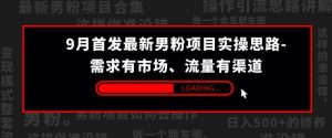 9月首发最新男粉项目实操思路-需求有市场,流量有渠道【揭秘】-知一资源网