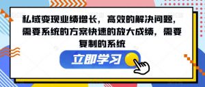 私域变现业绩增长,高效的解决问题,需要系统的方案快速的放大成绩,需要复制的系统-知一资源网