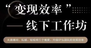 变现效率线下工作坊,从播直间、私域、视短频个三维度,升级IP和团队变现效率-知一资源网