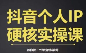 个人IP创富系统实战课,商业定位,流量打造,短视频变现,教你做个赚钱的抖音号-知一资源网