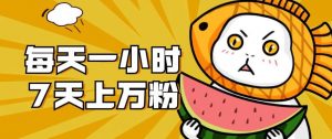 暴力涨粉项目:每天一小时,七天上万粉【揭秘】-知一资源网