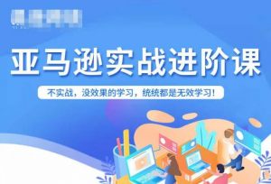 亚马逊FBA运营进阶课,不实战,没效果的学习,统统都是无效学习-知一资源网