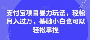 支付宝项目暴力玩法,轻松月入过万,基础小白也可以轻松拿捏【揭秘】-知一资源网