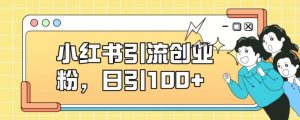 小红书引流创业粉,日引100+【揭秘】-知一资源网