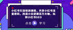 小红书引流培训课程,共享小红书流量密码,改造小白逆袭百万大咖,玩转小红书SEO-知一资源网