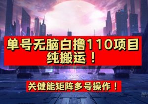 9月全网首发,单号直接白撸110!可多号操作,无脑搬运复制粘贴【揭秘】-知一资源网