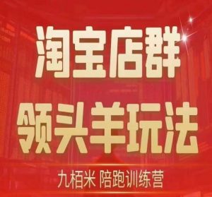 九栢米-淘宝店群领头羊玩法,教你整个淘宝店群领头羊玩法以及精细化/终极蓝海/尾销等内容-知一资源网