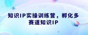 知识IP实操训练营,孵化多赛道知识IP-知一资源网