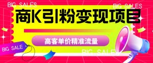 商K引粉变现项目,高客单价精准流量【揭秘】-知一资源网
