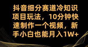 抖音细分赛道冷知识项目玩法，10分钟快速制作一个视频，新手小白也能月入1W+【揭秘】-知一资源网