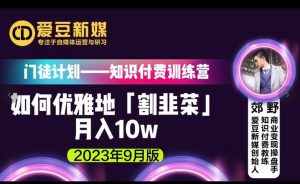 爱豆新媒:如何优雅地「割韭菜」月入10w的秘诀(2023年9月版)-知一资源网