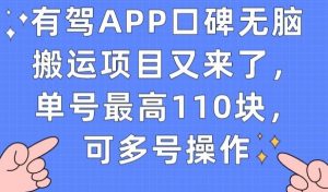 有驾APP口碑无脑搬运项目又来了，单号最高110块，可多号操作-知一资源网