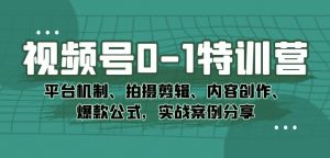 视频号0-1特训营:平台机制、拍摄剪辑、内容创作、爆款公式,实战案例分享-知一资源网