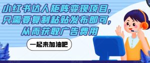 小红书达人矩阵变现项目,只需要复制粘贴发布即可,从而获取广告费用-知一资源网