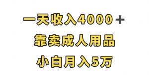 一天收入4000+,靠卖成人用品,小白轻松月入5万【揭秘】-知一资源网