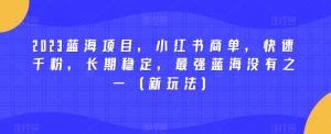 2023蓝海项目，小红书商单，快速千粉，长期稳定，最强蓝海没有之一（新玩法）-知一资源网