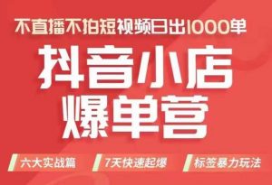 抖店商品卡运营班(8月份),从0-1学习抖音小店全部操作方法,不直播不拍短视频日出1000单-知一资源网