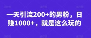 一天引流200+的男粉,日赚1000+,就是这么玩的【揭秘】-知一资源网